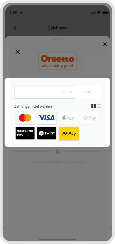 Payment process step 3
