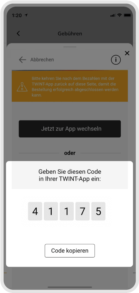 Payment process step 4